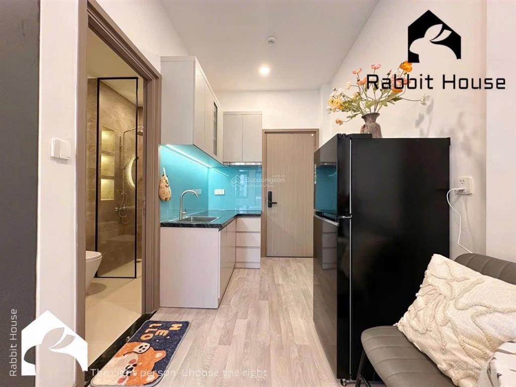 Cho thuê căn hộ ban công full nội thất cao cấp ngay cầu lê văn sỹ gần ga sài gòn, bờ kè hoàng sa