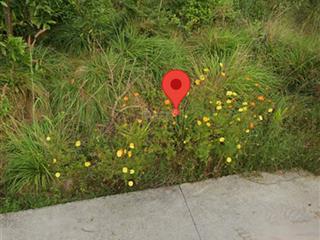 Cần bán lô đất gần 1000mv đường bê tông có thổ cư