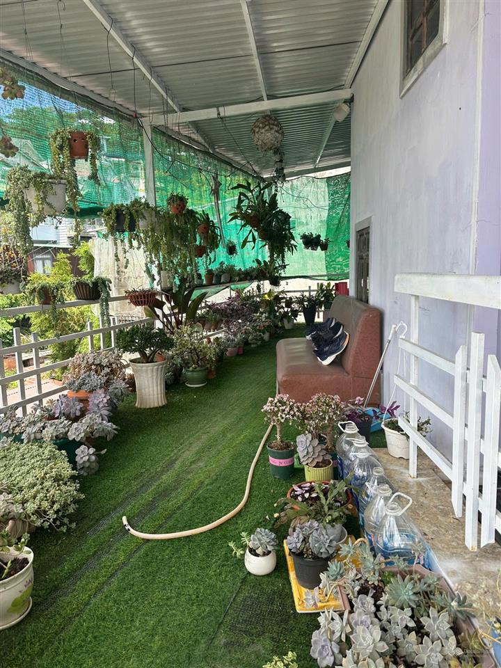 Bán nhà trung tâm đà lạt đường lê hồng phong, phường 4. dt 114.2m2