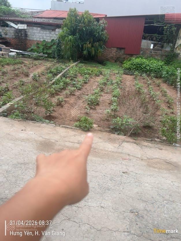 Bán đất tại đan kim, 3,02 tỷ, 66 m2, mặt tiền 5,5m