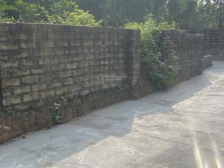 Cc bán gấp lô đất ở full thổ cư lại thượng thạch thất, sẵn sổ, 203m2  mt 6m  100% đất thổ