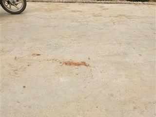 Hot! lô đất 80m2 đại tảo,xuân giang siêu đẹp như tranh vuông vắn  đường ô tô