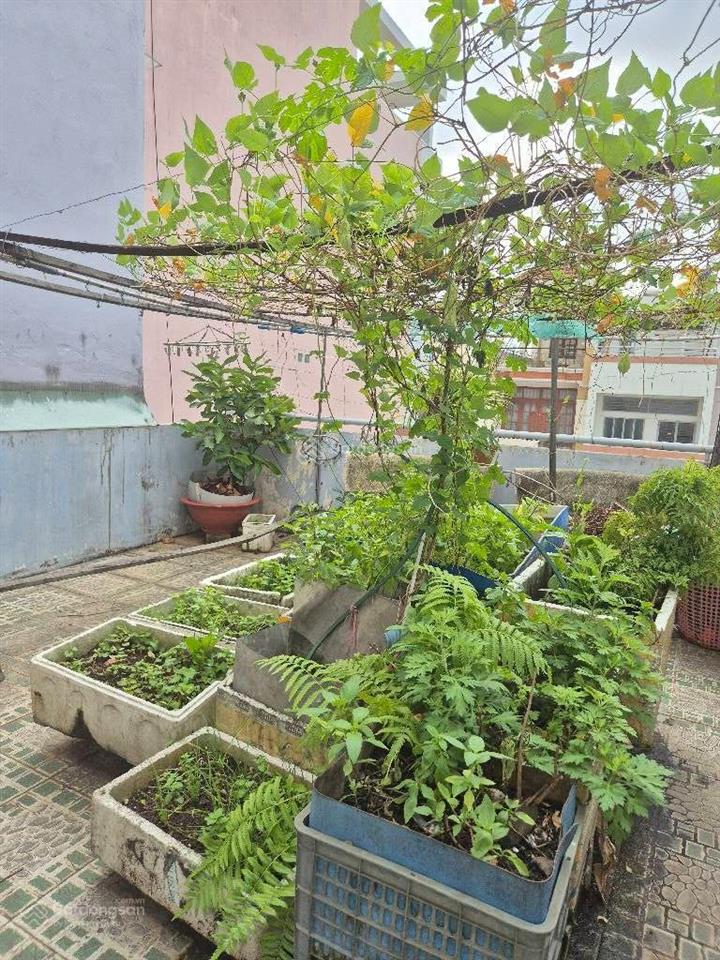 Bán nhà riêng tại bình thới, hẻm xe hơi thông, 67m2, 4 tầng, 6pn, giá tốt