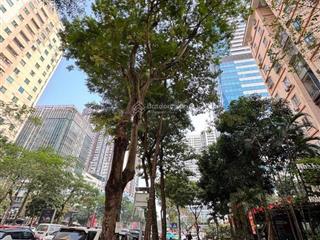  bán căn hộ chung cư trung hòa, nhân chính, hoàng đạo thúy, thanh xuân, siêu rẻ, 50m2, 4.96 tỷ