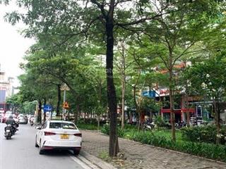  bán nhà mặt phố thanh nhàn, bạch mai, hai bà trưng, siêu đẹp, 95m2, 48 tỷ