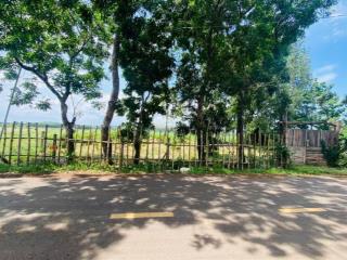 Bán gấp đất nền 1100m2 tại lê văn một, thị trấn đất đỏ, long đất, bà rịa vũng tàu, 3,599 tỷ