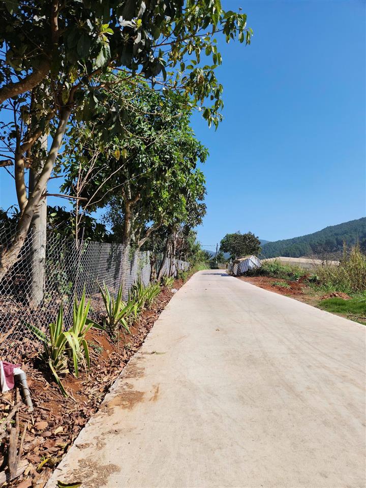 Bán gấp đất tại phường cam ly (xã tà nung cũ), đà lạt, 6,894 tỷ, 1532 m2