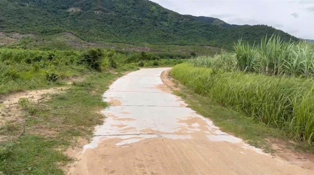 Bán đất xã ninh tây gần đường vận hành liên thông ql26  dt 4.995 m2