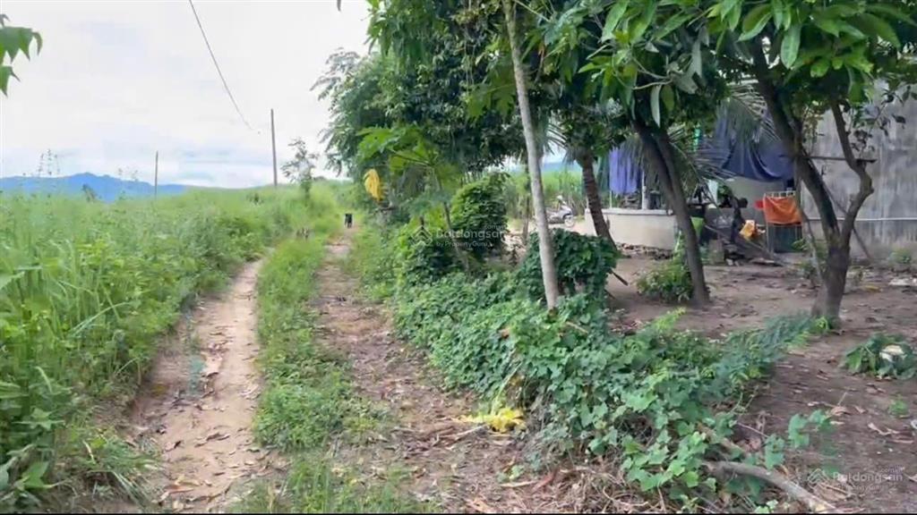 Đẩy nhanh 2 lô đất liền kề diện tích 5.645 m2 xã tây ninh hòa, khánh hòa, có thổ cư
