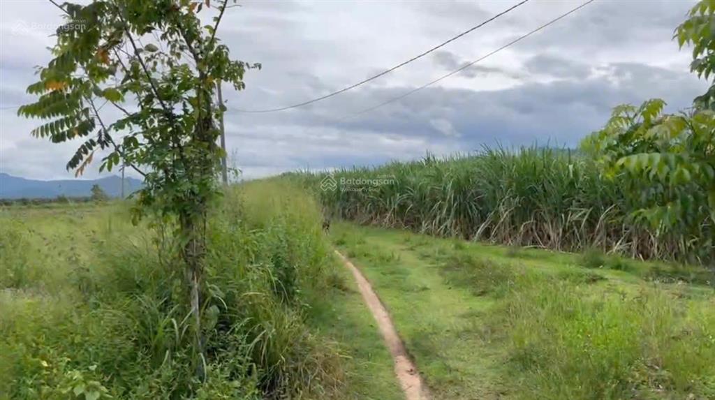 Đẩy nhanh 2 lô đất liền kề diện tích 5.645 m2 xã tây ninh hòa, khánh hòa, có thổ cư