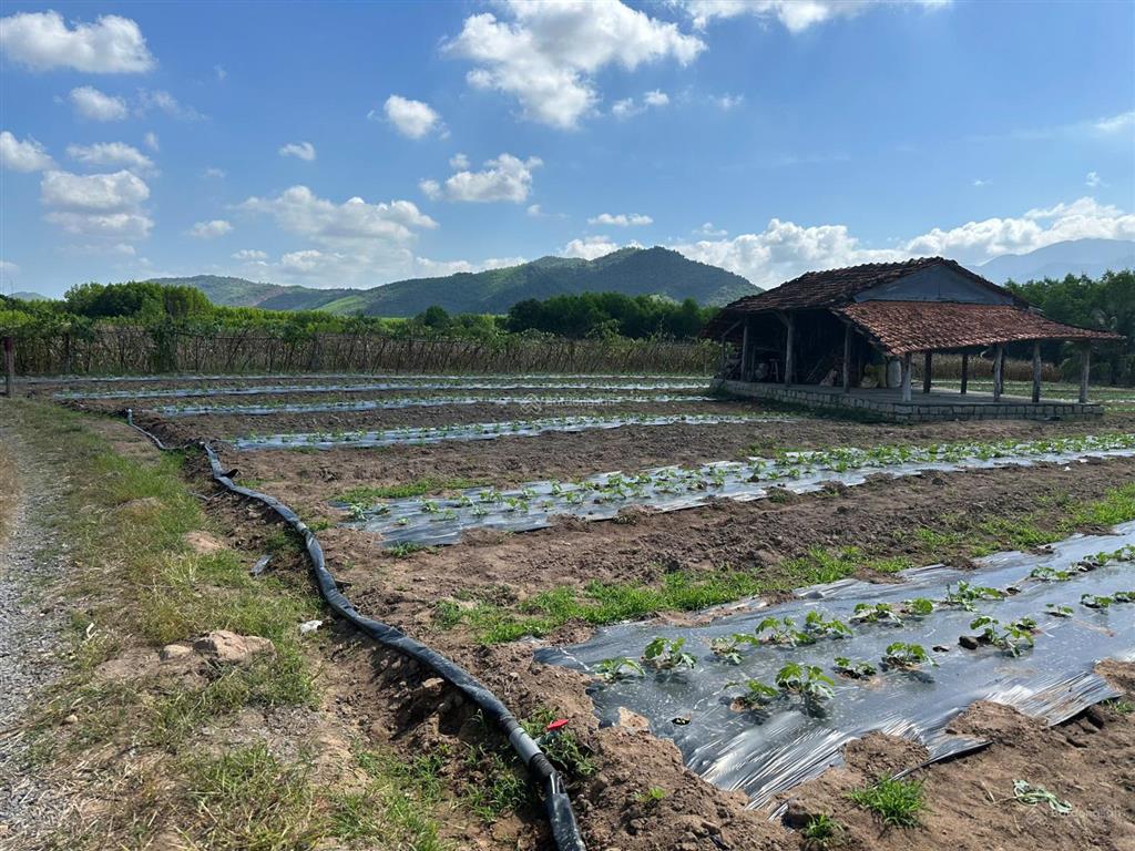 Bán lô đất dt 4.305m2 thôn suối sâu, xã ninh tân, thị xã ninh hoà, tỉnh khánh hoà