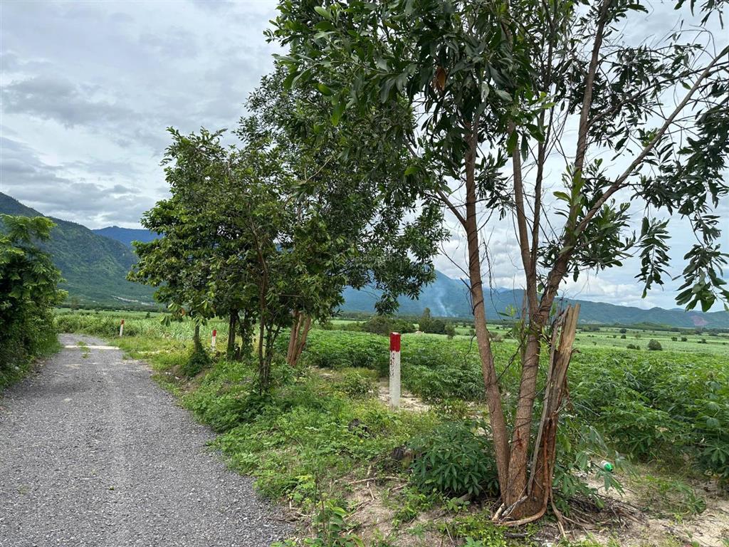 Bán đất xã tây ninh hòa (ninh tây) gần hồ suối sim  dt 3.695m2. giá 4.4 tỷ