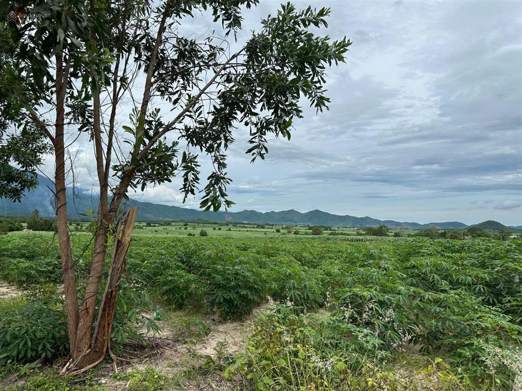 Bán đất xã tây ninh hòa (ninh tây) gần hồ suối sim  dt 3.695m2. giá 4.4 tỷ