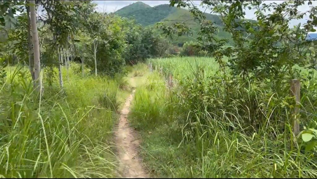 Bán đất xã tây ninh hòa (ninh tây) gần hồ suối trầu  dt 19.174m2. giá 14.9 tỷ