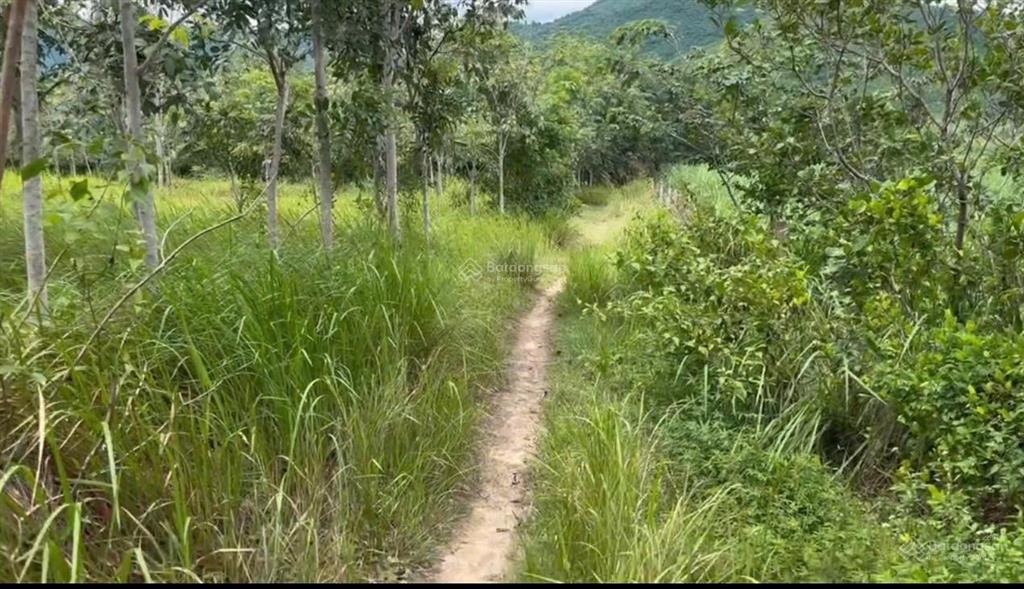 Bán đất xã tây ninh hòa (ninh tây) gần hồ suối trầu  dt 19.174m2. giá 14.9 tỷ