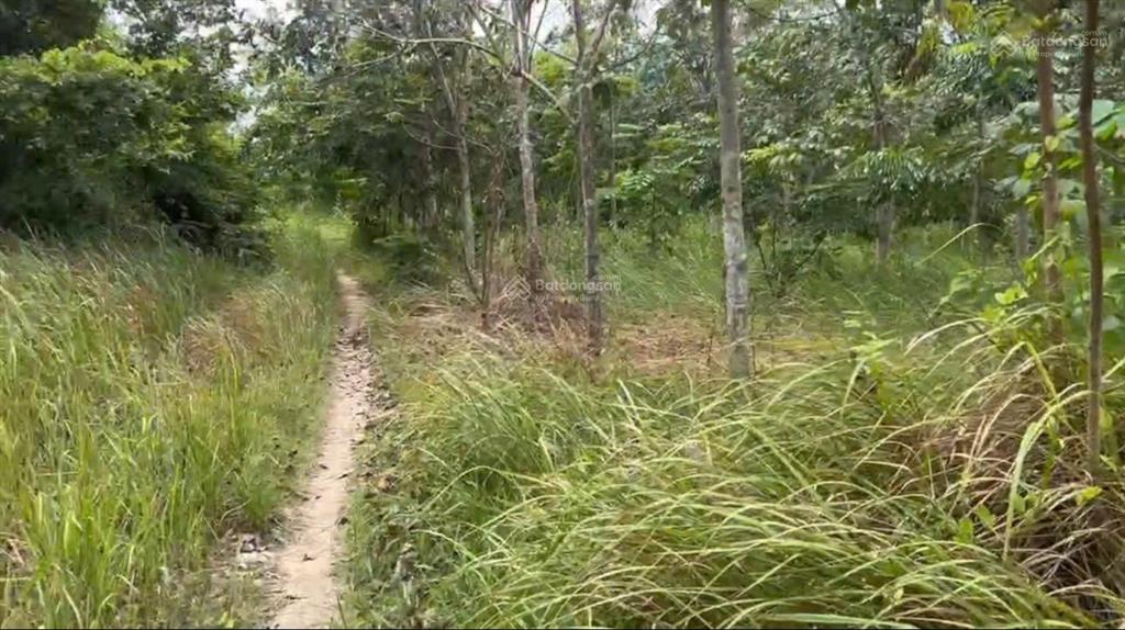 Bán đất xã tây ninh hòa (ninh tây) gần hồ suối trầu  dt 19.174m2. giá 14.9 tỷ