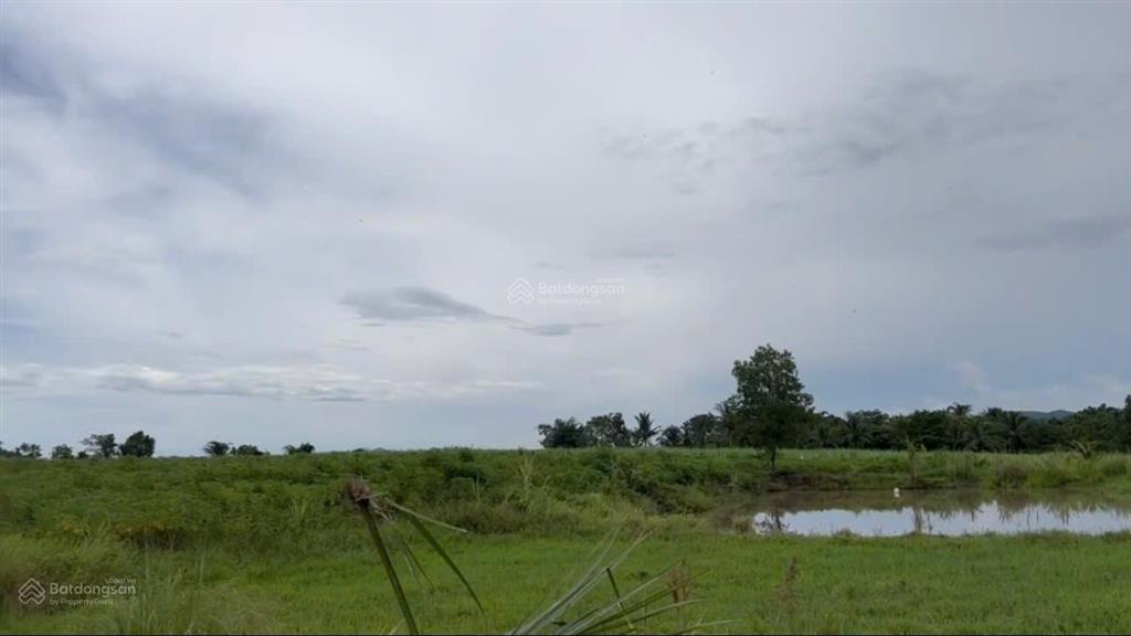 Bán đất xã tây ninh hòa (ninh tây) gần ngay đường dt5  dt 13.415m2. giá 10.5 tỷ