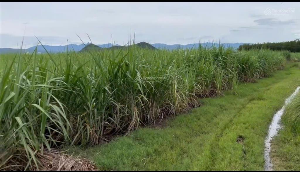Bán đất xã tây ninh hòa (ninh tây) gần ngay đường dt5  dt 13.415m2. giá 10.5 tỷ