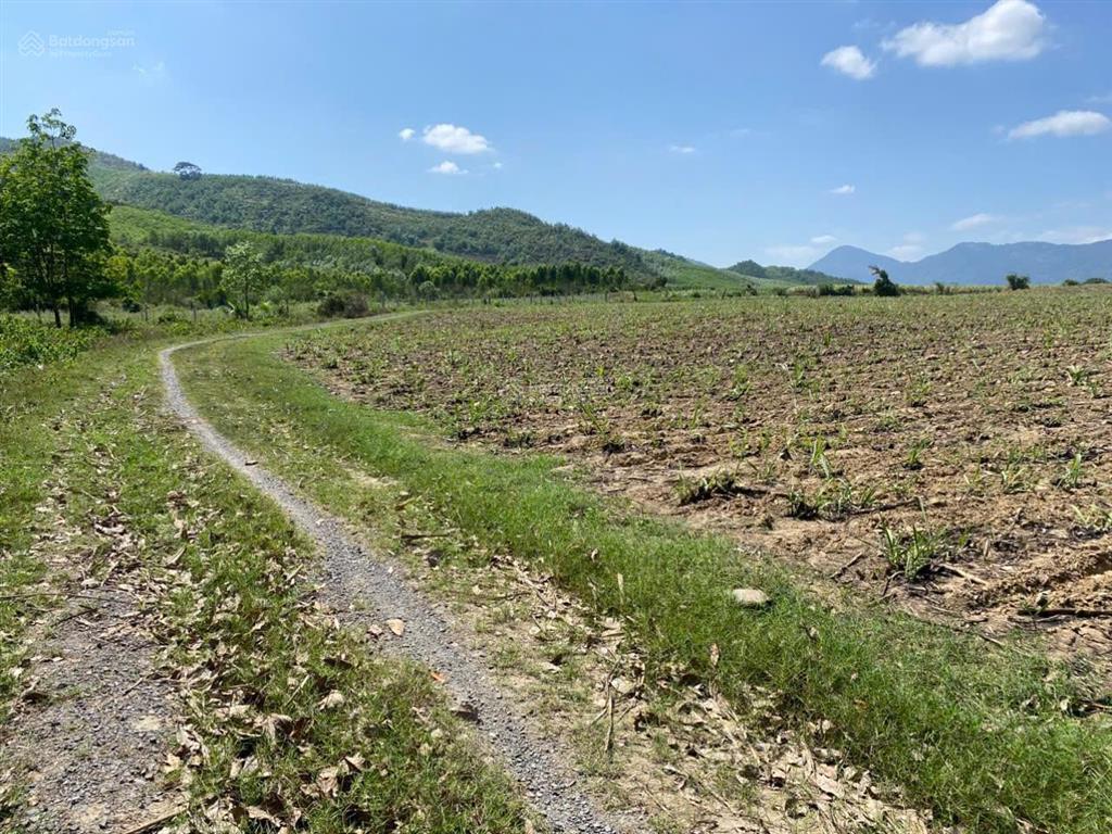 Bán đất xã tây ninh hòa (ninh tây) ở thôn buôn đung  dt 13.858m². giá 11.8 tỷ