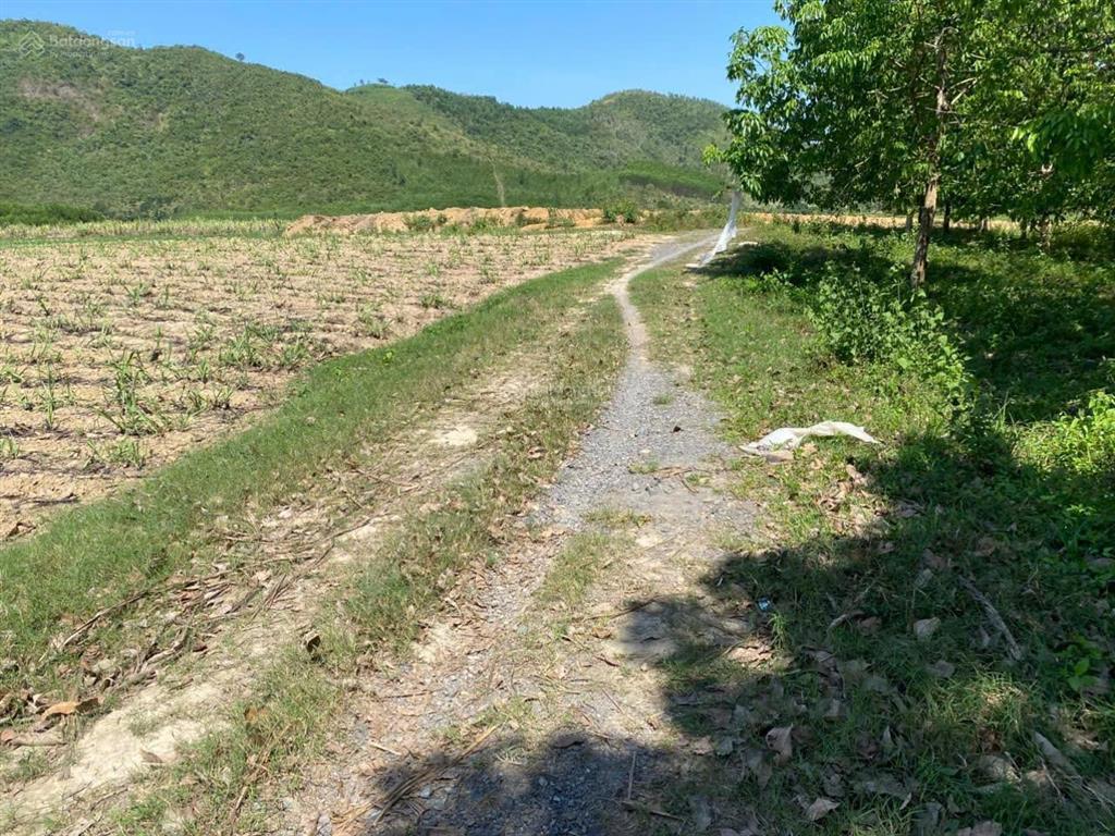 Bán đất xã tây ninh hòa (ninh tây) ở thôn buôn đung  dt 13.858m². giá 11.8 tỷ