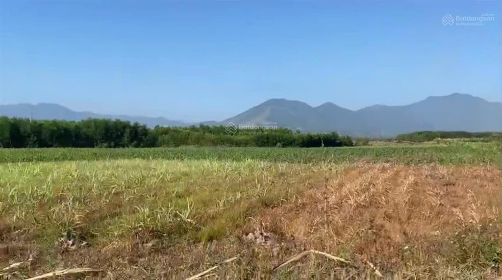 Bán đất xã ninh tây ninh hòa (ninh tây) ở thôn xóm mới  dt 16.679m². giá 14 tỷ