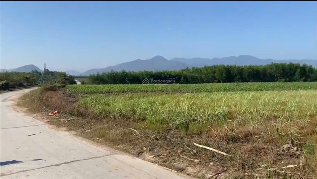 Bán đất xã ninh tây ninh hòa (ninh tây) ở thôn xóm mới  dt 16.679m². giá 14 tỷ