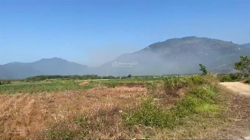 Bán đất xã ninh tây ninh hòa (ninh tây) ở thôn xóm mới  dt 16.679m². giá 14 tỷ