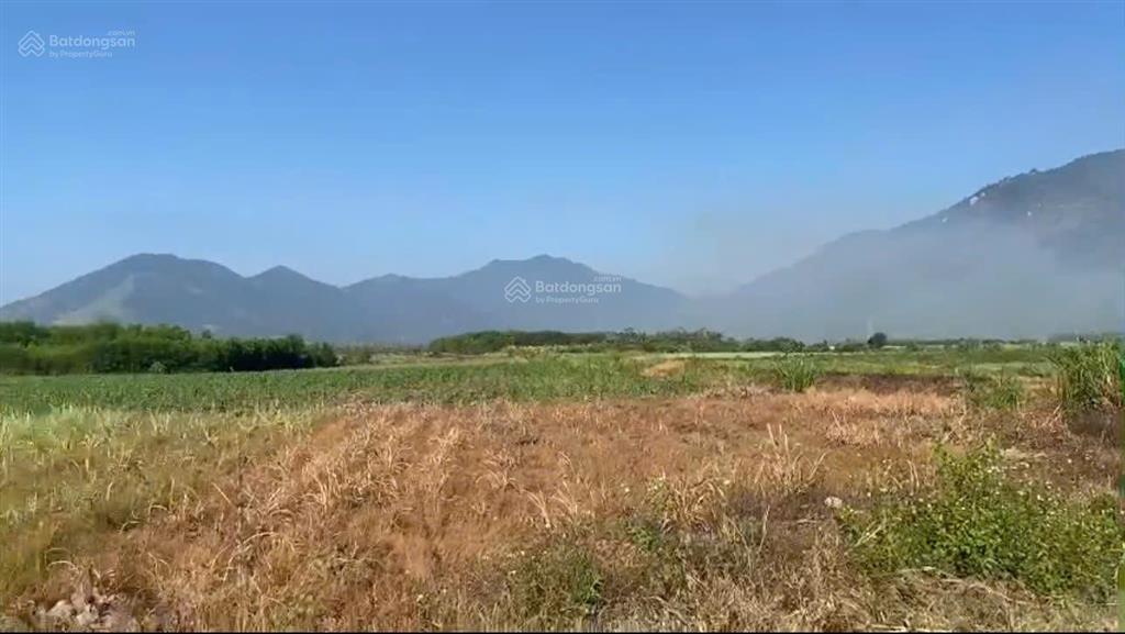 Đẩy nhanh lô đất diện tích 1.377 m2 xã tây ninh hòa, khánh hòa, full thổ cư