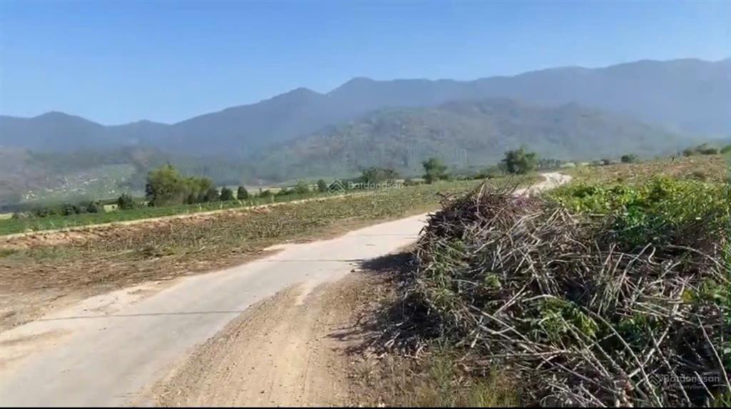 Đẩy nhanh lô đất diện tích 1.377 m2 xã tây ninh hòa, khánh hòa, full thổ cư