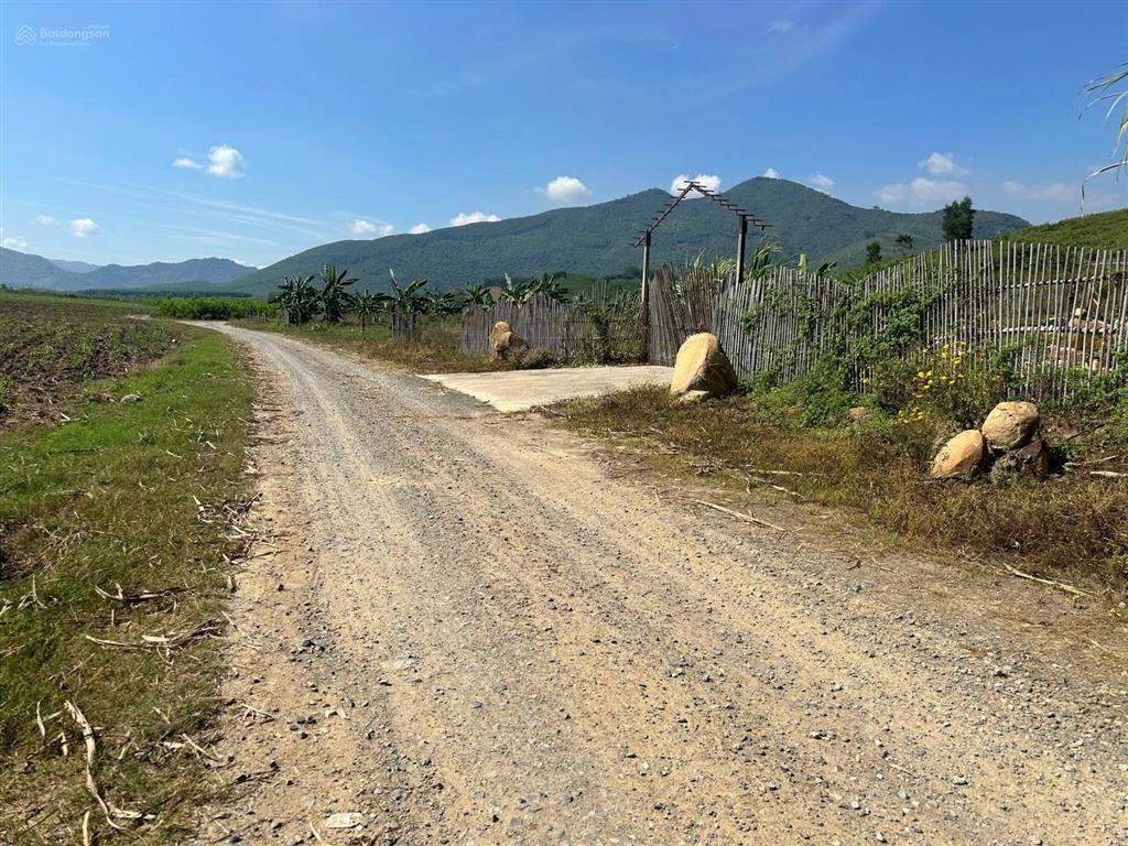Ra nhanh lô đất thổ cư diện tích 1.015m2 xã ninh tây, ninh hòa, khánh hòa