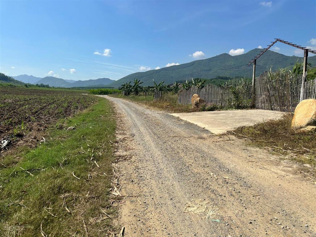 Ra nhanh lô đất thổ cư diện tích 1.015m2 xã ninh tây, ninh hòa, khánh hòa