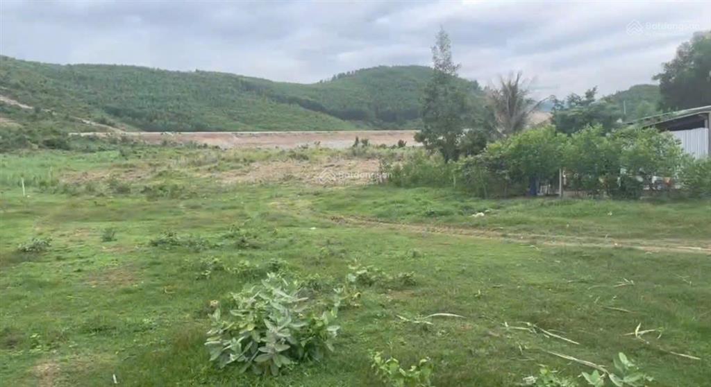 Cần ra nhanh lô đất diện tích 1.153m2 xã ninh tây, ninh hòa, khánh hòa, có thổ cư
