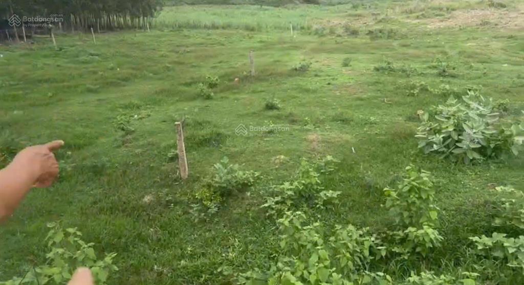 Cần ra nhanh lô đất diện tích 1.153m2 xã ninh tây, ninh hòa, khánh hòa, có thổ cư