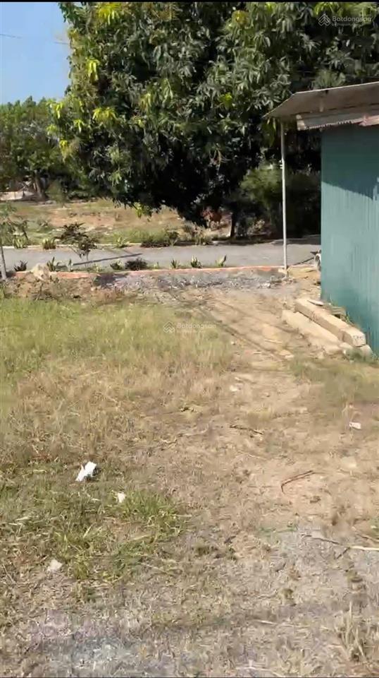 Bán lô đất ở dt 2.393m2 xã ninh tây, mặt tiền ql26, tx ninh hòa