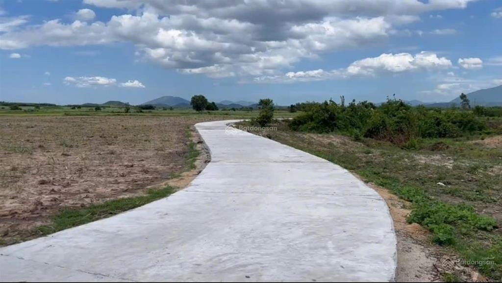Bán đất xã tây ninh hòa 2 lô liền kề gần đường vận hành  dt 10,183 m2