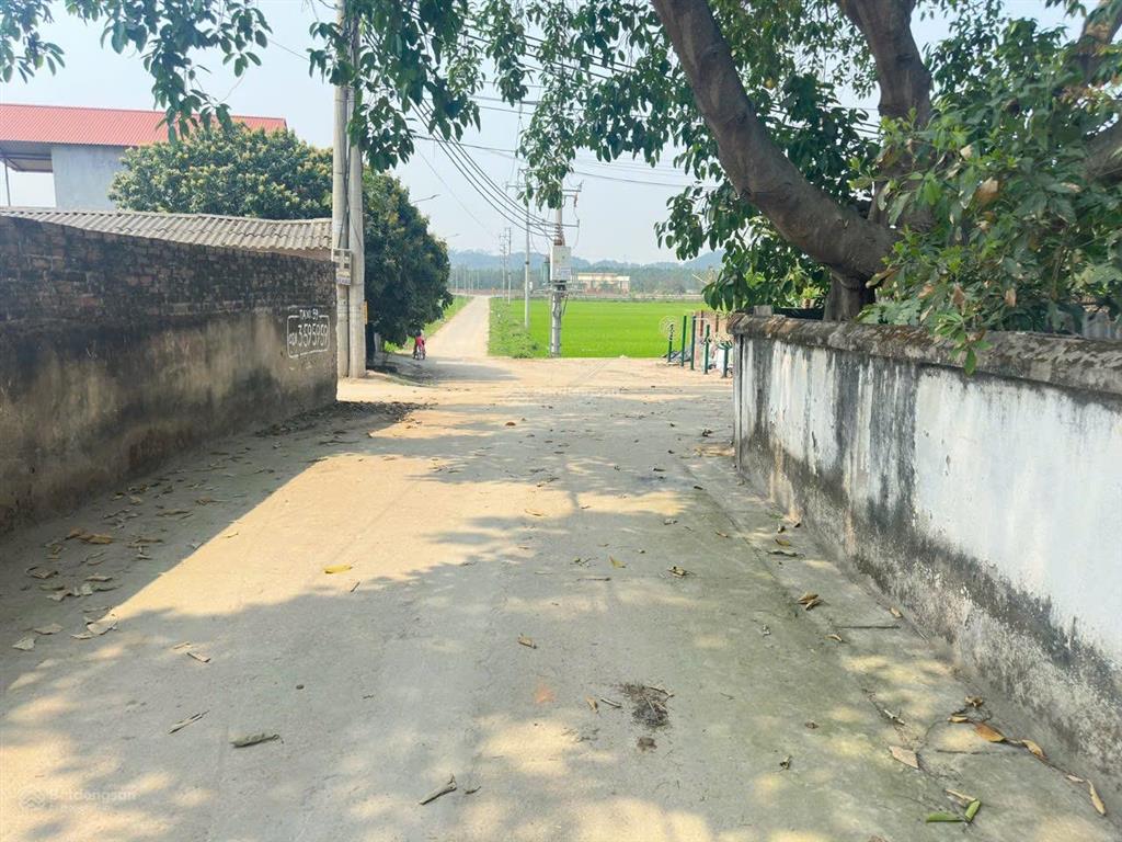 Đất đẹp tdp cổ độ gia khánh bình xuyên