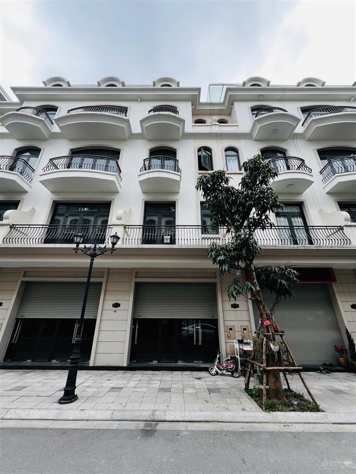 Bán nhanh lk shop xây 5 tầng, 240m2 sàn tại sao biển vh ocean park 2 gần vincom sẵn sổ, giá 8tỷ550