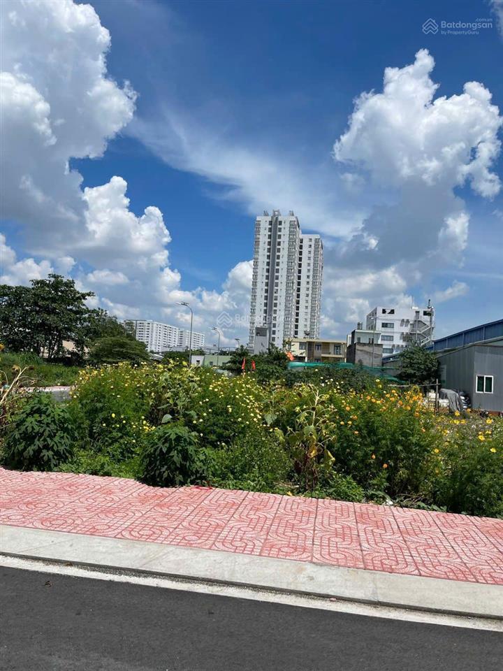 Bán lô đất khu phân lô đường nhựa 8m lề 3m ngay an dương vương an lạc dt 4.5m x12m thổ cư 5ty250
