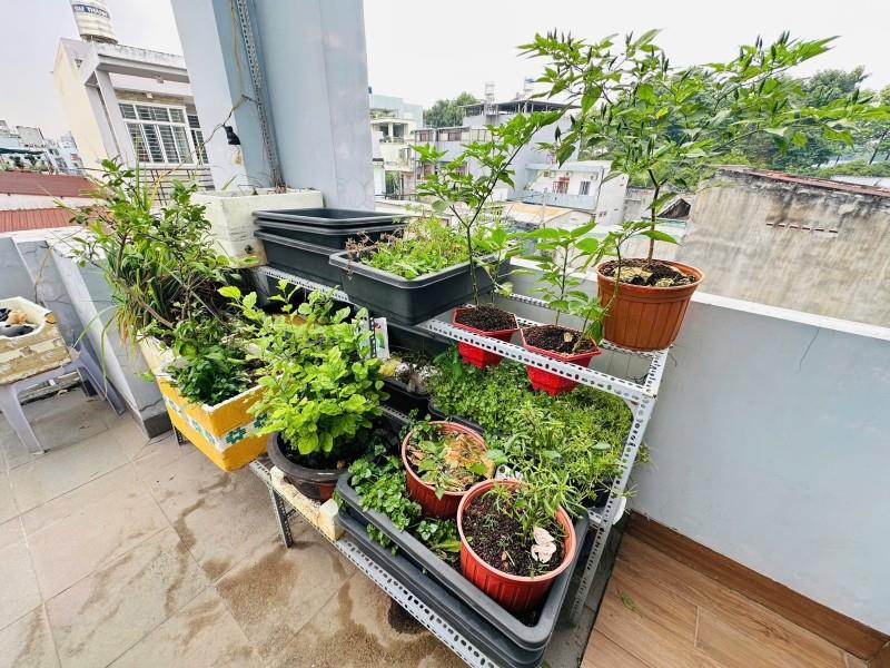 Bán nhà 3 tầng, DT 75m2, Số 7, Linh Trung, Thủ Đức, TP HCM giá 7,89  tỷ, sổ hồng. Liên