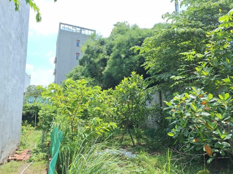 Bán gấp nhà vườn 660m2 , đường 182, Tăng Nhơn Phú A, Q9. Thủ Đức, TP HCM. Giá 18.3 tỷ.