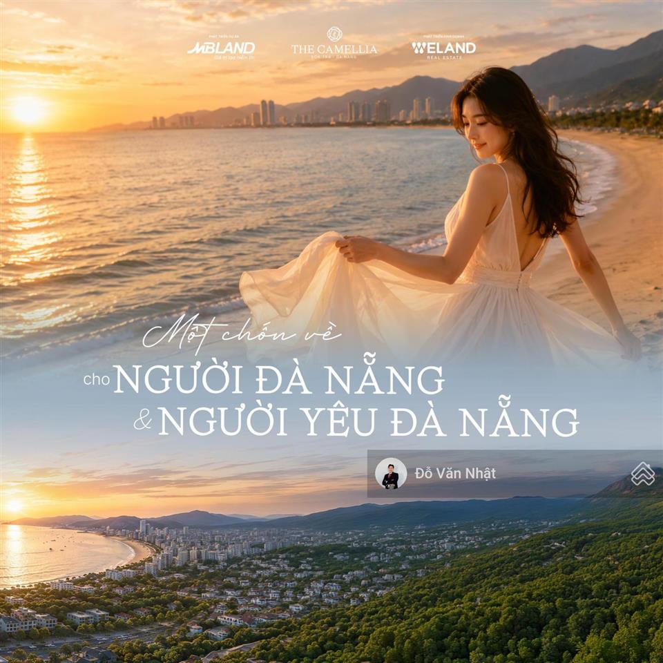 The camellia sơn trà  đà nẵng  biểu tượng mới bên bán đảo sơn trà