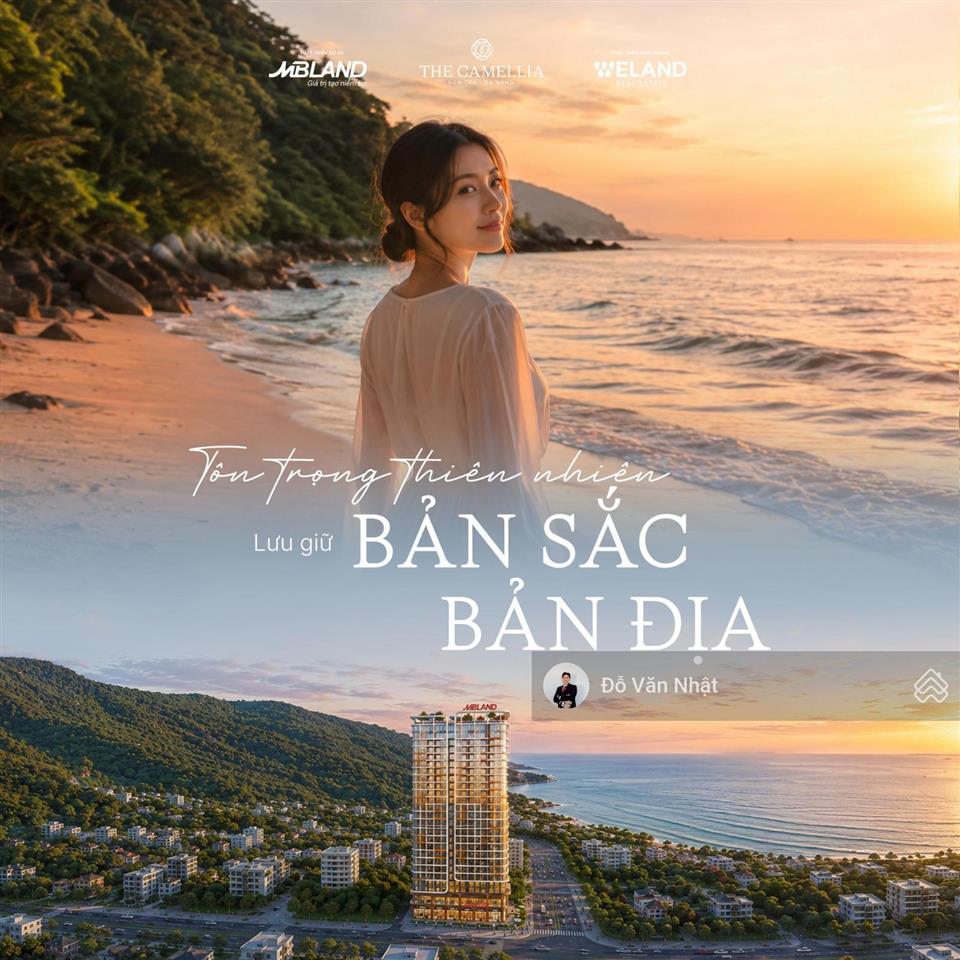 The camellia sơn trà  đà nẵng  biểu tượng mới bên bán đảo sơn trà