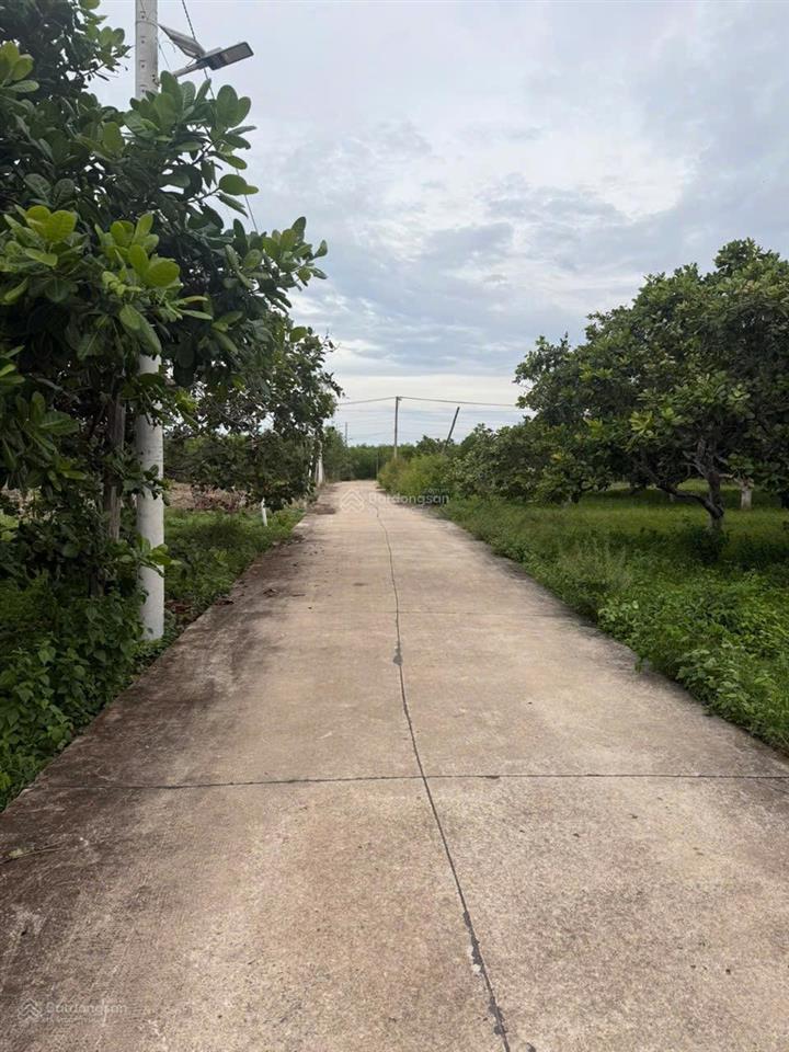 Bán 1500 m2 đất thôn đá mài, hàm tân