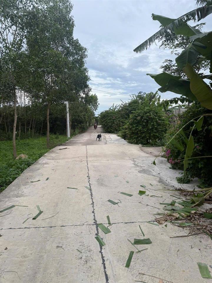 Bán 1.050 m2 thôn đá mài, hàm tân