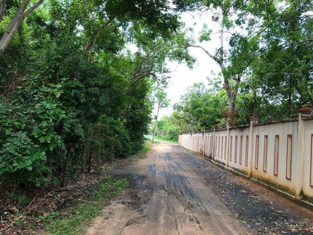 Bán đất phước hải đất đỏ, bà rịa vũng tàu  5.907m2