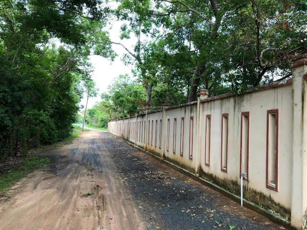 Bán đất phước hải đất đỏ, bà rịa vũng tàu  5.907m2