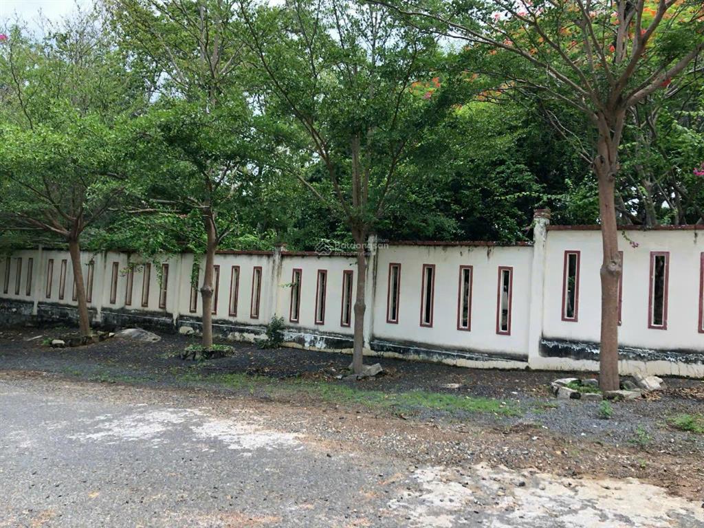 Bán đất phước hải đất đỏ, bà rịa vũng tàu  5.907m2