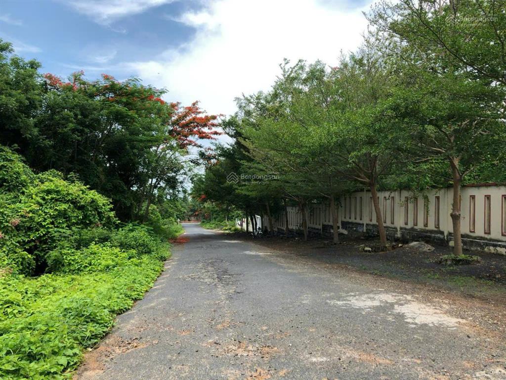 Bán đất phước hải đất đỏ, bà rịa vũng tàu  5.907m2