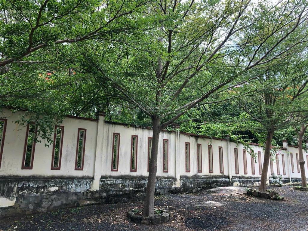 Bán đất phước hải đất đỏ, bà rịa vũng tàu  5.907m2