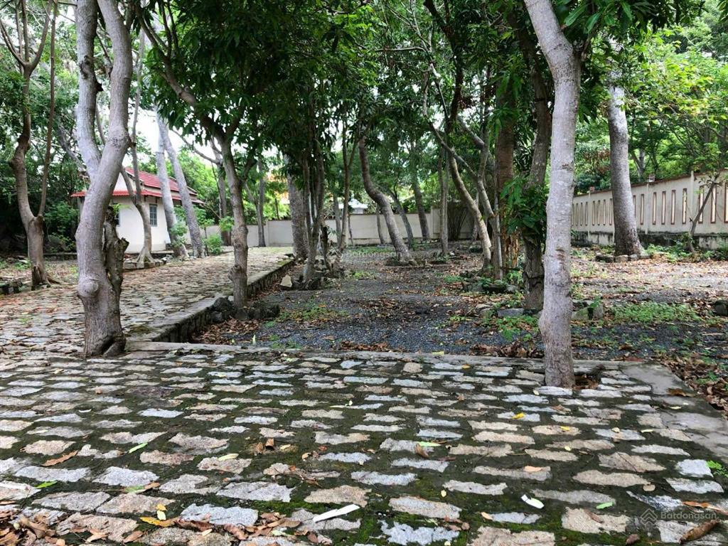 Bán đất phước hải đất đỏ, bà rịa vũng tàu  5.907m2